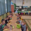 Realizacja ogólnopolskiego program edukacyjnego w oddziałach zerowych „Akademia Kici- Koci”